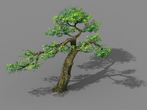 explore the mountains - cliff - tree 04 3D Model