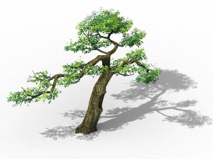 explore the mountains - cliff - tree 04 3D 模型