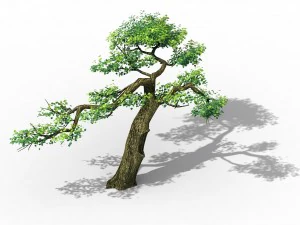 explore the mountains - cliff - tree 04 3D Model