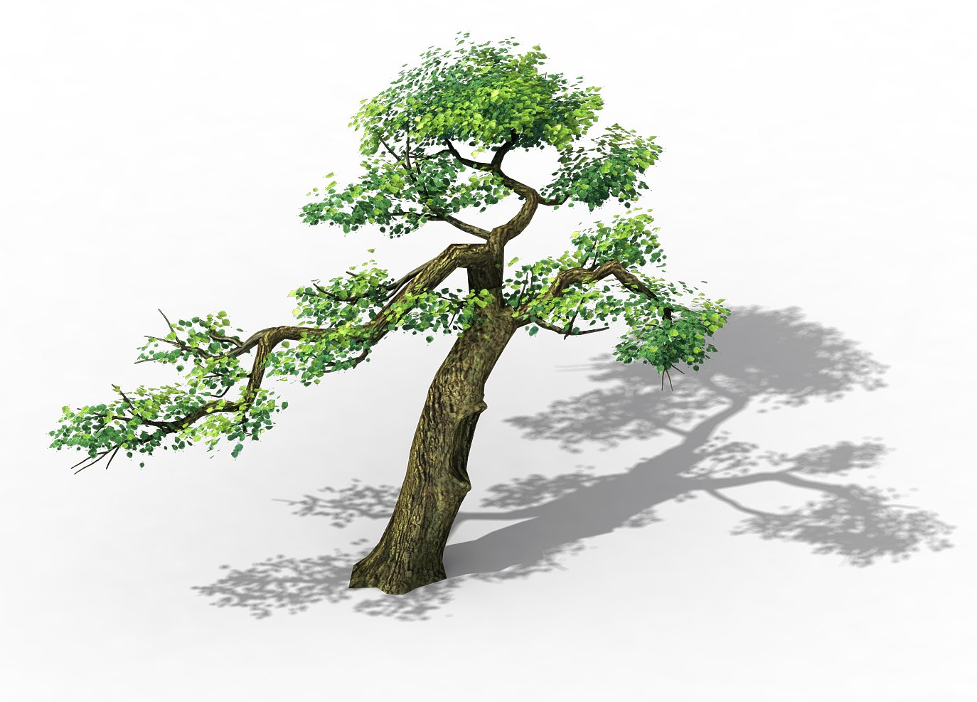 3d two trees. Дерево 2д. 3d two trees. 3d two trees. 3d two trees.