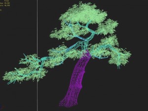 explore the mountains - cliff - tree 04 3D 模型