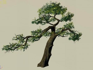 explore the mountains - cliff - tree 04 3D 模型