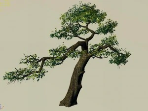 explore the mountains - cliff - tree 04 3D Model