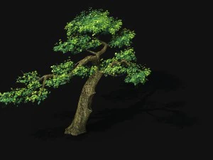 explore the mountains - cliff - tree 04 3D Model