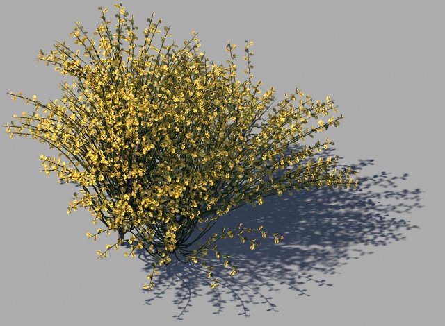 explore the mountains - plants - shrubs 02 3D Model .c4d .max .obj .3ds .fbx .stl .blend 