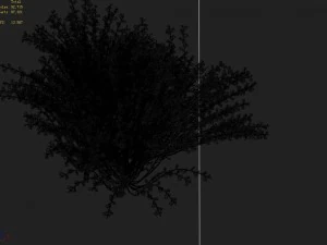 explore the mountains - plants - shrubs 02 3D Model
