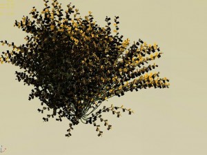 explore the mountains - plants - shrubs 02 3D Model