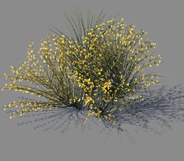 explore the mountains - plants - shrubs 04 Modelo 3D .c4d .max .obj .3ds .fbx .stl .blend 