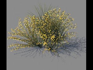 explore the mountains - plants - shrubs 04 3Dモデル