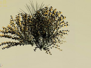 explore the mountains - plants - shrubs 04 Modelo 3D