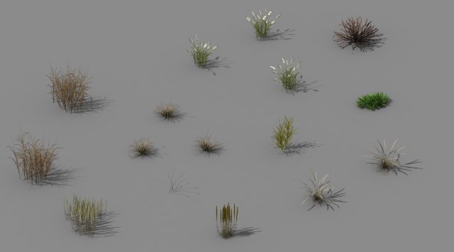 explore the mountains - plants - weeds 3D मॉडल .c4d .max .obj .3ds .fbx .stl .blend 