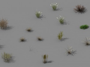 explore the mountains - plants - weeds 3D 模型