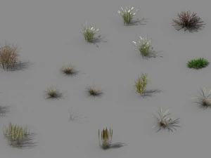 산 탐험 - 식물 - 잡초 3D 모델