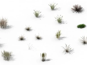 explore the mountains - plants - weeds 3D Model