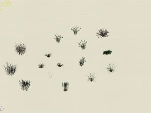 explore the mountains - plants - weeds 3D Model