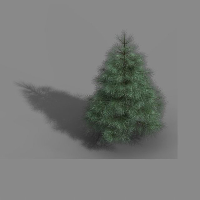tianyin temple - pine 01 3D Model .c4d .max .obj .3ds .fbx .stl .blend 
