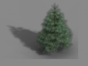 храм Тяньінь - сосна 01 3D Модель