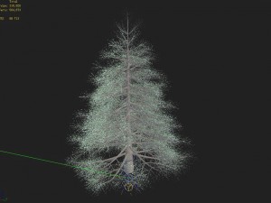 tianyin temple - pine 01 3D Model