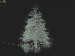 tianyin temple - pine 01 3D Model