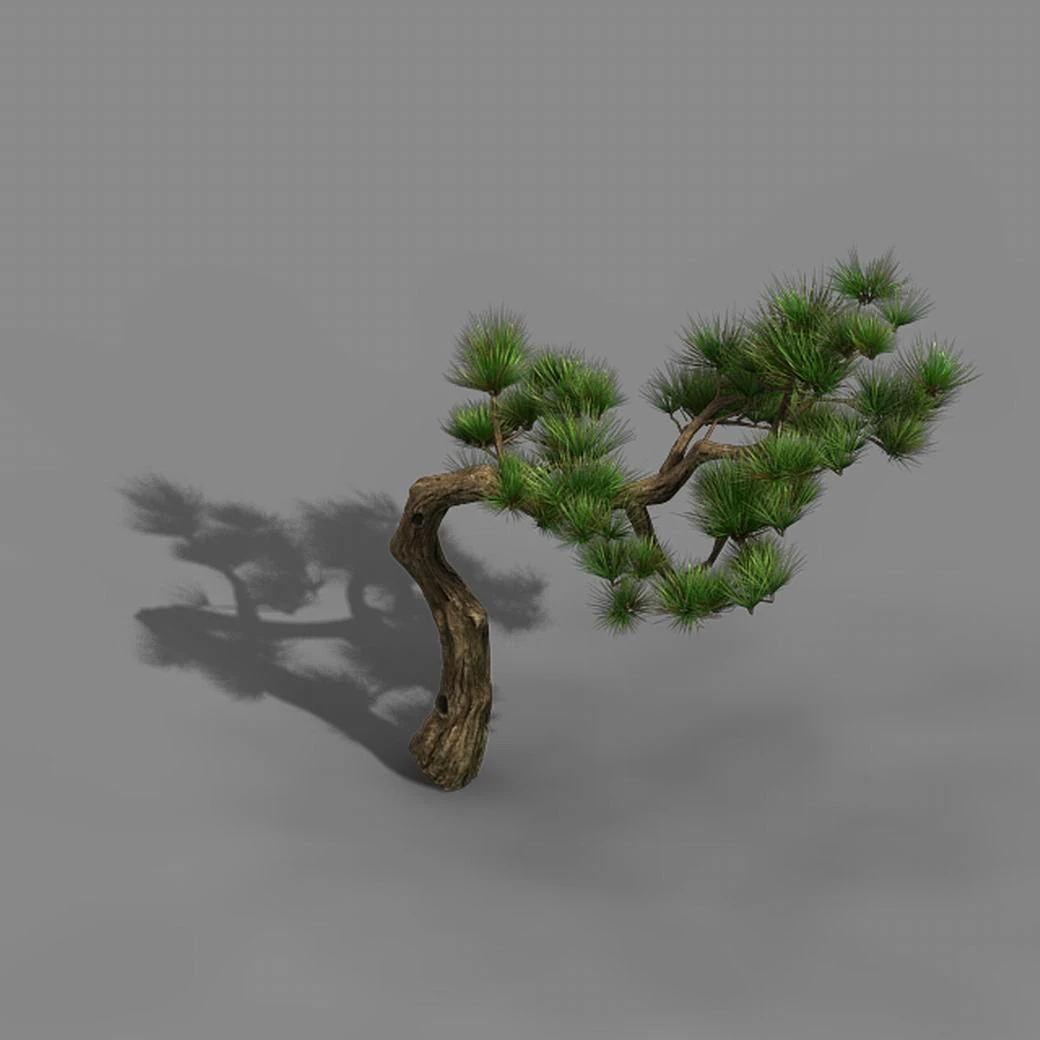 tian yin temple - pine 02 3D Model .c4d .max .obj .3ds .fbx .stl .blend 