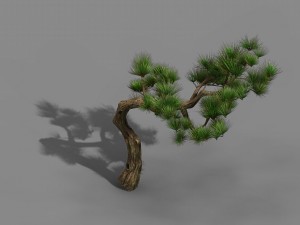 tian yin temple - pine 02 3D Model