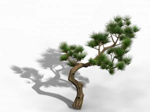 tian yin temple - pine 02 3D Model