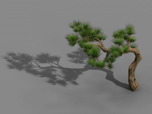 tian yin temple - pine 02 Model 3D