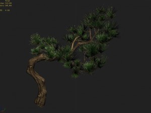 tian yin temple - pine 02 Model 3D