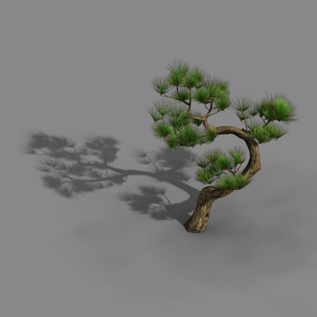 tianyin temple - pine 03 3D-Modell .c4d .max .obj .3ds .fbx .stl .blend 