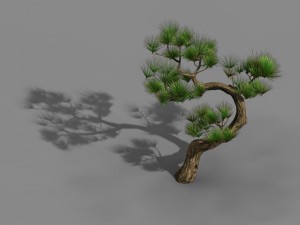 tianyin temple - pine 03 3D Model