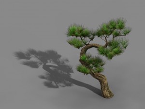 tianyin temple - pine 03 3D-Modell