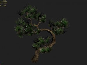 tianyin temple - pine 03 3D-Modell