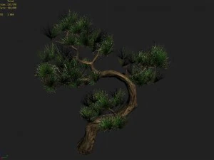 tianyin temple - pine 03 3D Model