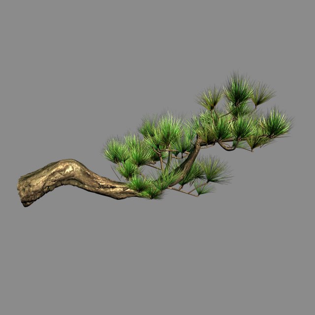 tian yin temple - pine 04 Model 3D .c4d .max .obj .3ds .fbx .stl .blend 