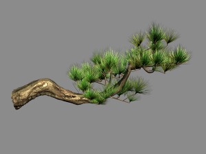 tian yin temple - pine 04 3D Model