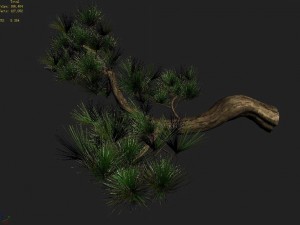 tian yin temple - pine 04 Model 3D