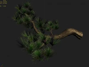 tian yin temple - pine 04 3D Model
