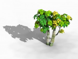 tian yin temple - plant 02 3Dモデル