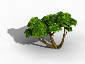 tian yin temple - plant 604 Modèle 3D