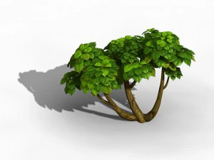 tian yin temple - plant 604 3D Model