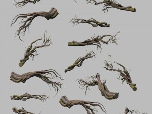 tongtianhe - plants - climbing vine 3D-Modell