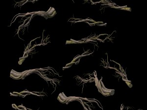 tongtianhe - plants - climbing vine 3D 模型