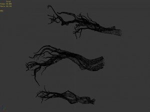 tongtianhe - plants - climbing vine 3D 模型