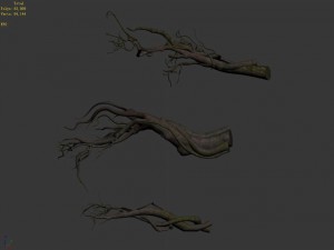 tongtianhe - plants - climbing vine 3D 模型