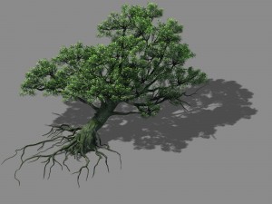 wu gorge - big tree 01 3D Model