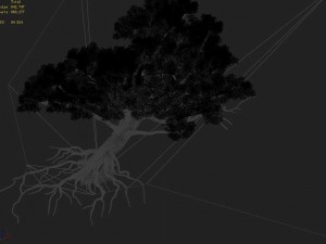 wu gorge - big tree 01 Modelo 3D