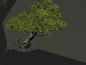 wu gorge - big tree 01 Modelo 3D