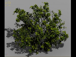 journey to the west - shrubs 01 Modelo 3D