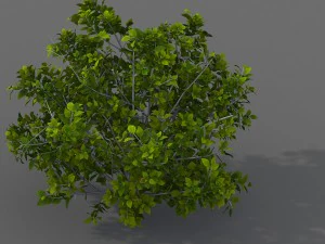 viaje al oeste - arbustos 02 Modelo 3D