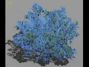 journey to the west - shrubs 02 3D Model